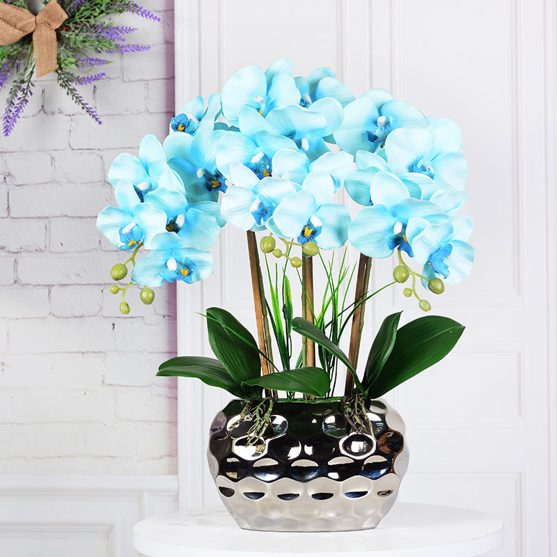 #4 blue-cloth