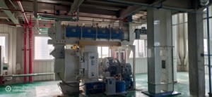 Mới Vòng chết loại PELLET Máy làm trấu lúa mì pelletizing máy 10 t/h thức ăn Mill PELLET - Product Image 6