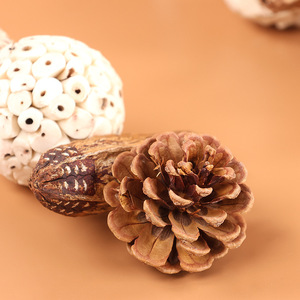 Thân Thiện Với Môi Gỗ Chim Đồ Chơi Trái Cây Tự Nhiên Hạt Chuỗi Sao Trái Cây Thông Nón Vẹt Căng Thẳng Cứu Trợ Bóng Đi kèm Trong Một Túi - Product Image 5