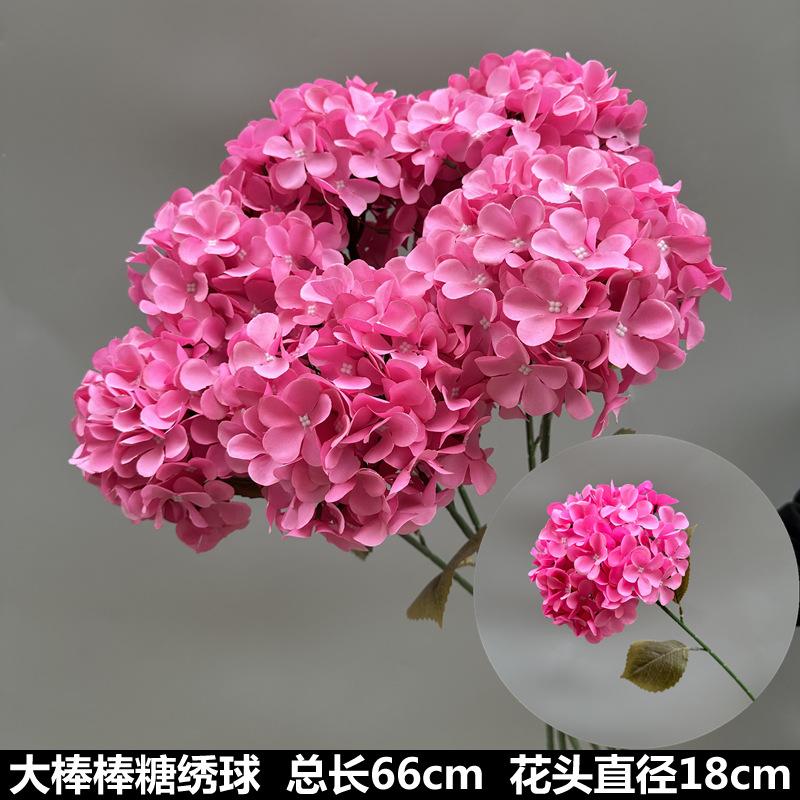 Hortensia piruleta grande rojo rosa