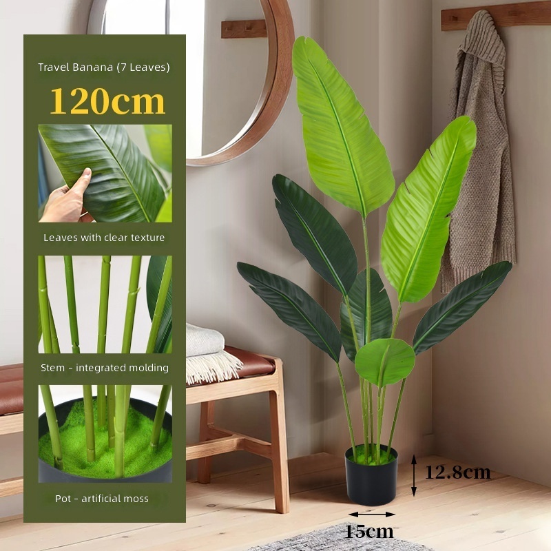 Leaf-reduced traveler banana 120cm-loose anemone handle-with bla