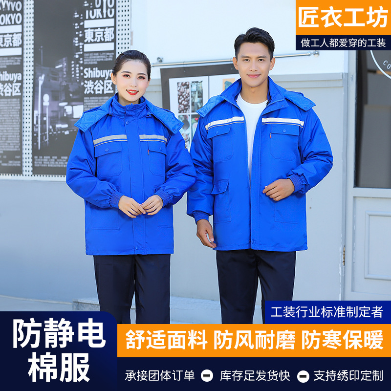 Brilliant blue cotton-padded jacket - - S-4XL