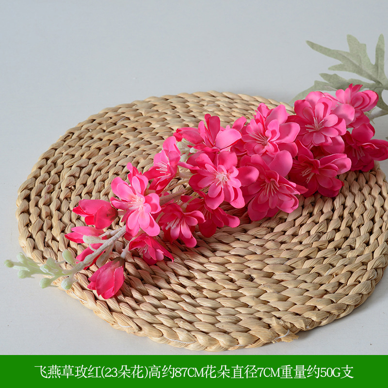 Delphinium rose rouge