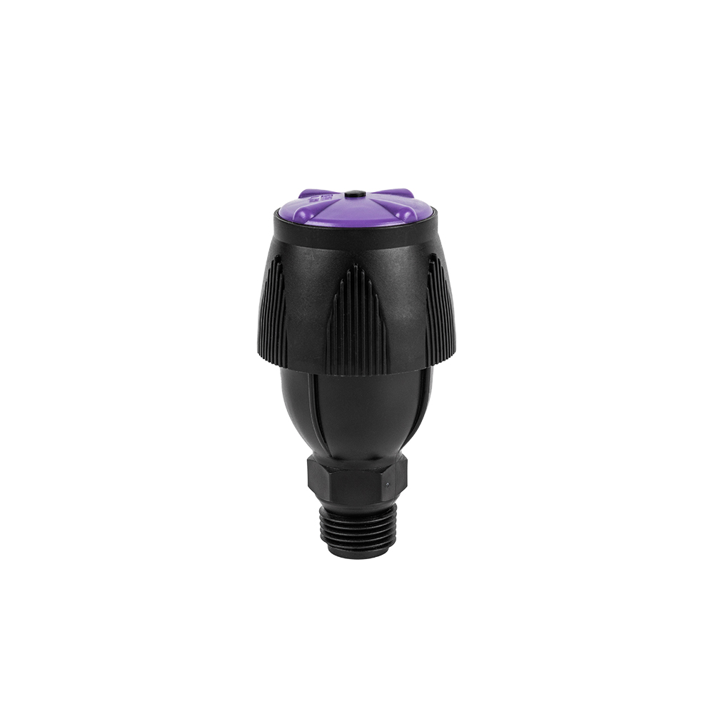 morado