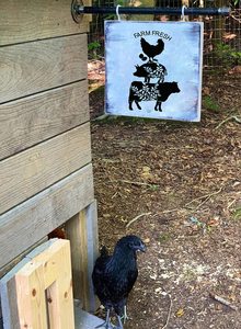 <strong>Custom</strong> Designs Factory Wholesale Farmhouse Silk Screen Printing <strong>Stencil</strong> Mesh <strong>Stencils</strong> for DIY Chalk Paste,Fabric