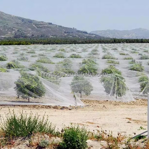 Agricultura Invernadero a prueba de áfidos Red HDPE con Red Anti insectos UV para jardín - Product Image 3