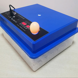 Kuluçka makinesi ve kuluçka makinesi ev kullanımı couveuse oeuf automatique yumurta kuluçka otomatik - Product Image 2