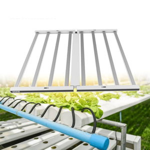 Risen yeşil kısılabilir tam spektrum çiçekli büyüyen LED ışık mavi kırmızı 800 Watt kapalı bitki için ışık büyümeye yol açtı - Product Image 2
