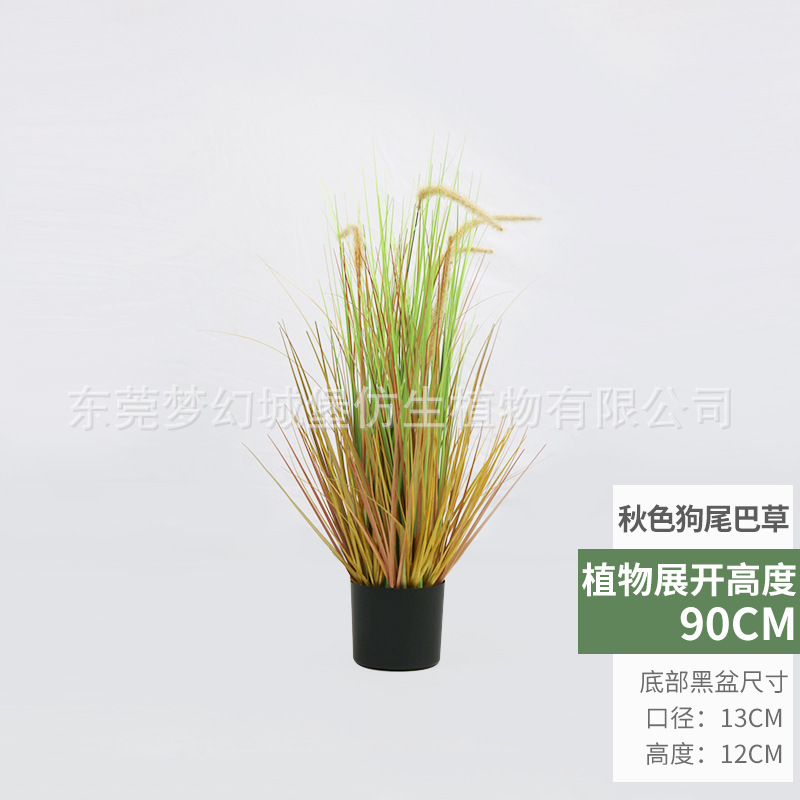 Plante en pot d'herbe de type "foxtail" aux couleurs automnales (90 cm)