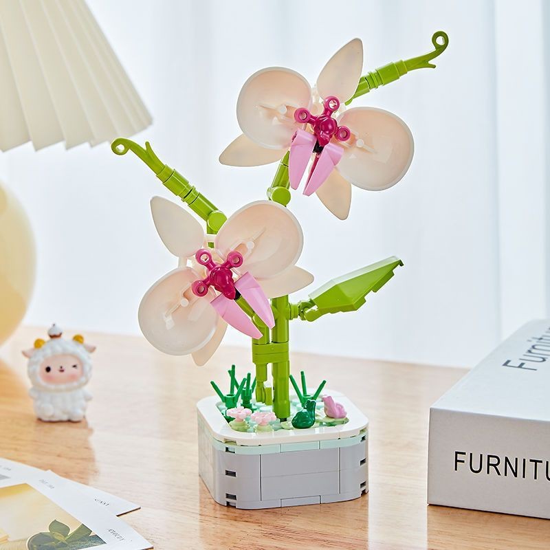 Orchidée papillon