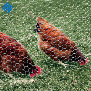 Malla de alambre de pollo fino Tela de herrajes Red hexagonal de hierro galvanizado Malla de alambre hexagonal torcida Doble - Product Image 6