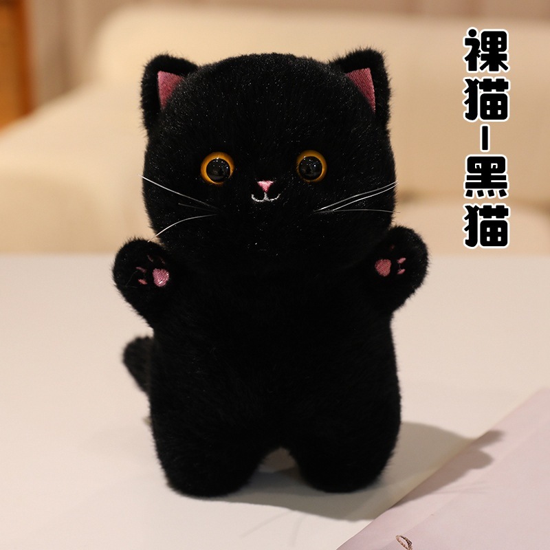 Chat nu - chat noir