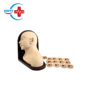 HC-S552 gelişmiş kulak muayene modeli insan silikon dış ve orta kulak modeli - Product Image 1