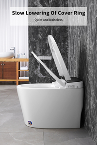 Euro Style Electronic Toilet Auto Flushing Remote Control Smart Toilet with <strong>Bidet</strong> - Product Image 6