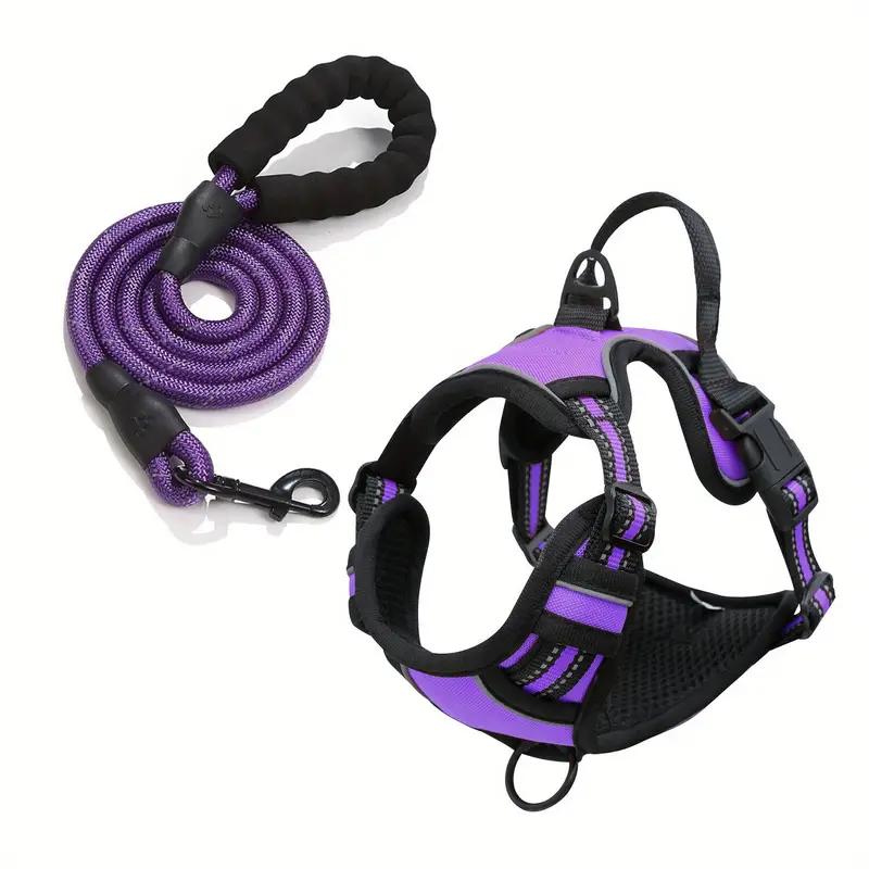 Purple Set