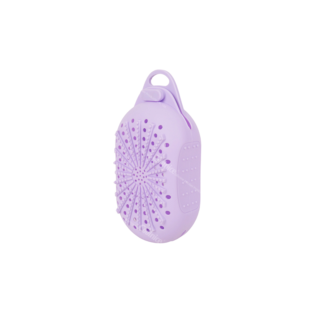 Viola