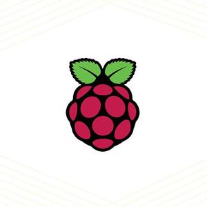 <strong>Raspberry</strong> 10.1Inch IPS DSI Display Software Backlight <strong>Control</strong> 10Point Capacitive Touch <strong>Raspberry</strong> <strong>Pi</strong> CM4 CM3+ Solution
