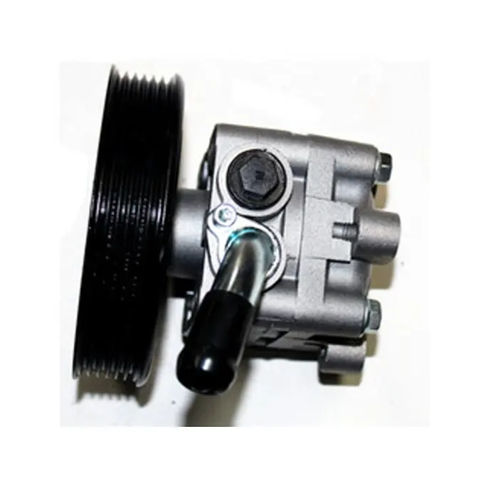 Low price Electric Hydraulic power steering pump parts For Nissan x-trail T30 QR25 for sunny A32 A33 49110-2NA00