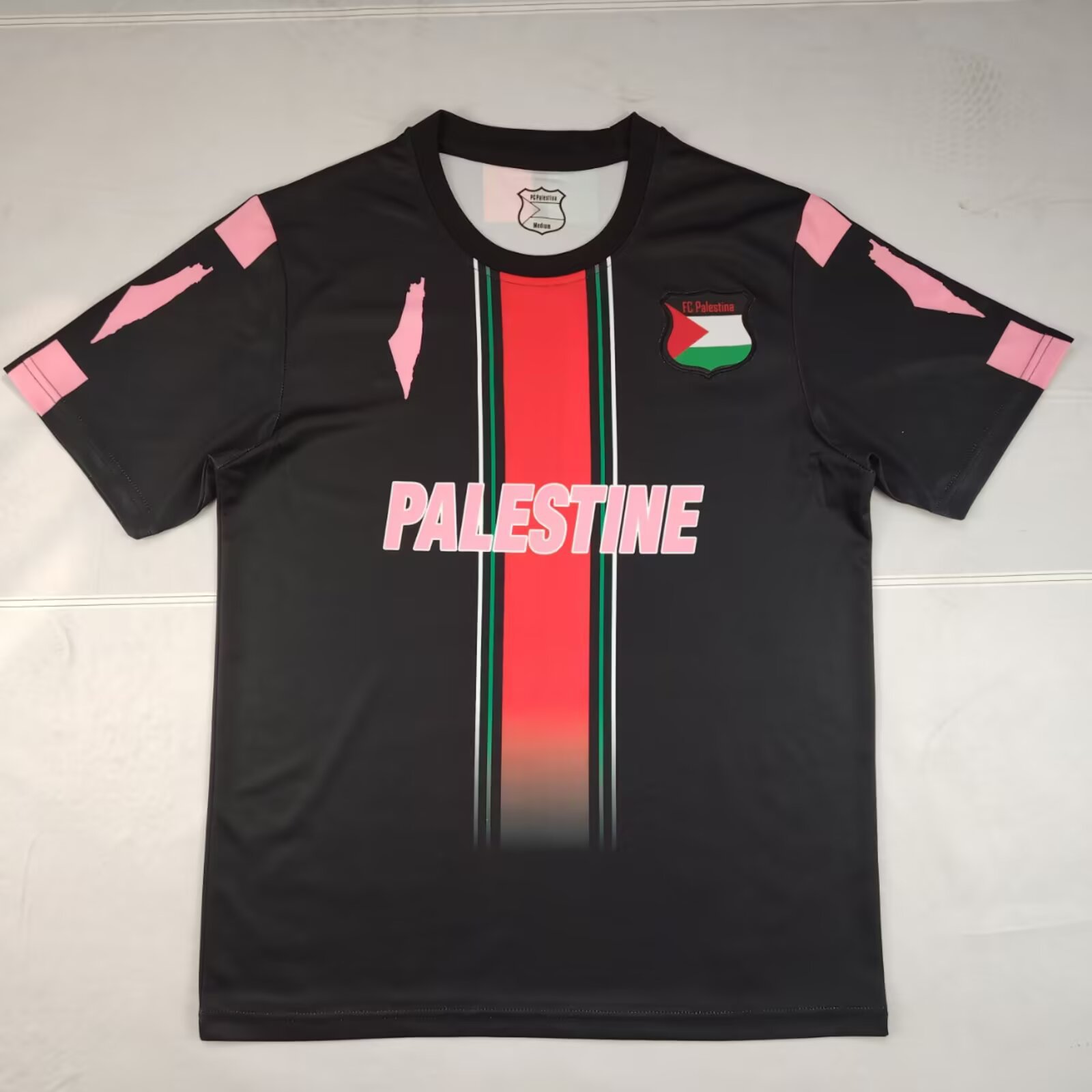 Palestine 13