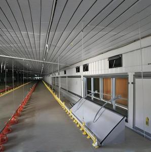 Construção barata Estrutura De Aço Galpão De Aves Fazenda Frango Casa Para Venda Casa De Frango De Ovo Comercial