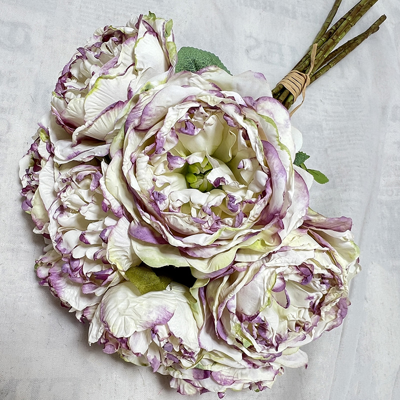 Purple edge white