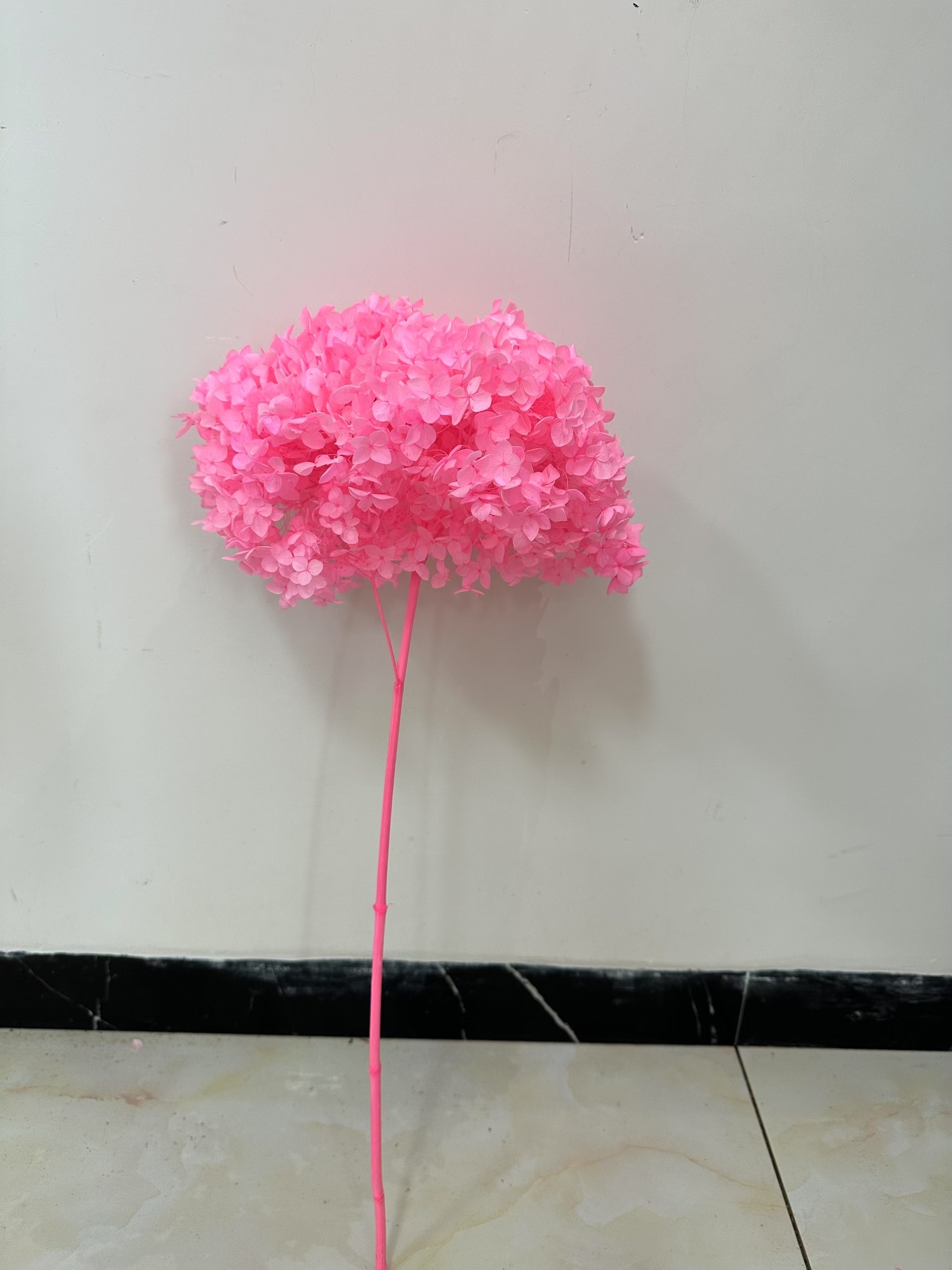 rose foncé brillant