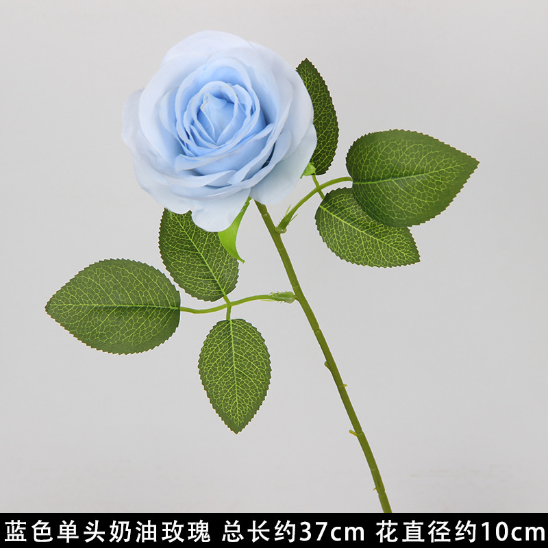 Rose crème bleue à une tête