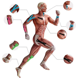 Elastik Kinesio Bant, Kas Yaralanmalarını Önlemek İçin Spor Salonu ve Fitness Kinesioloji Bandı, Destek İçin Yapışkanlı Kinesioloji Spor Bandı - Product Image 3