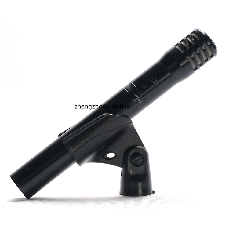 Professional Instrument Microphone PG81 - Dynamic & Condenser