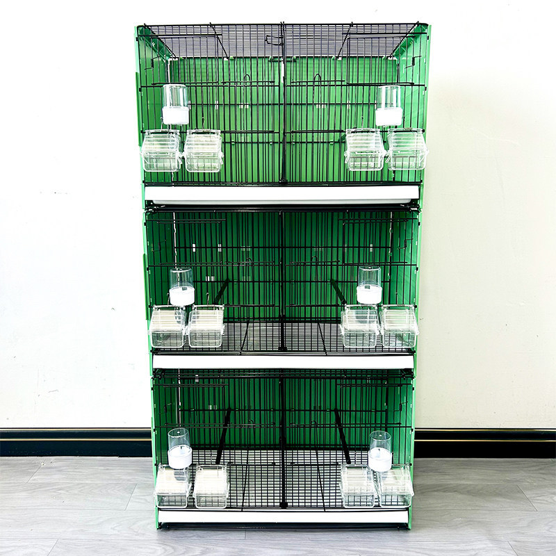 Gabbia verde *3-con piastra posteriore