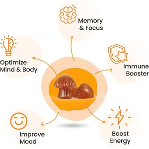 Vitadiscovery nootropic não bổ sung sư tử bờm 10 trong 1 nấm Gummies cho tăng cường tập trung và bộ nhớ - Product Image 4