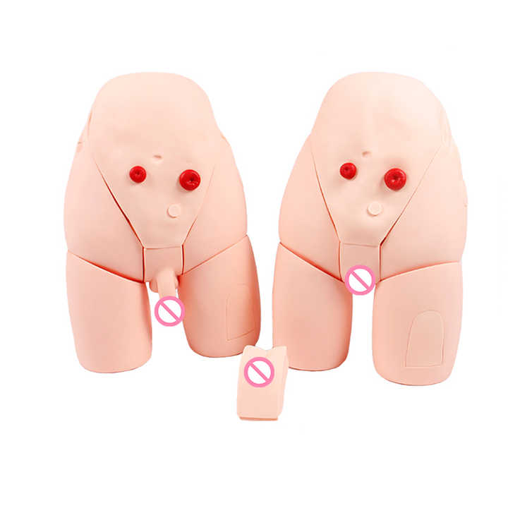 Dual Sex Catheterization Simulator Advanced Teaching Tool