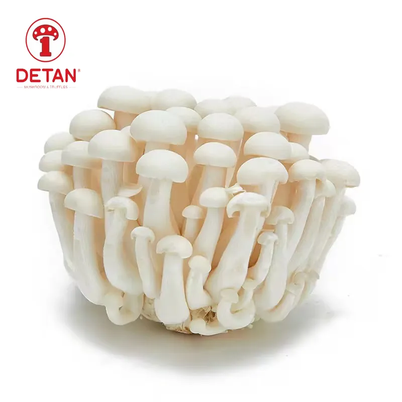 Китайский завод DETAN, выращивание экзотического белого бука, свежий гриб Shimeji