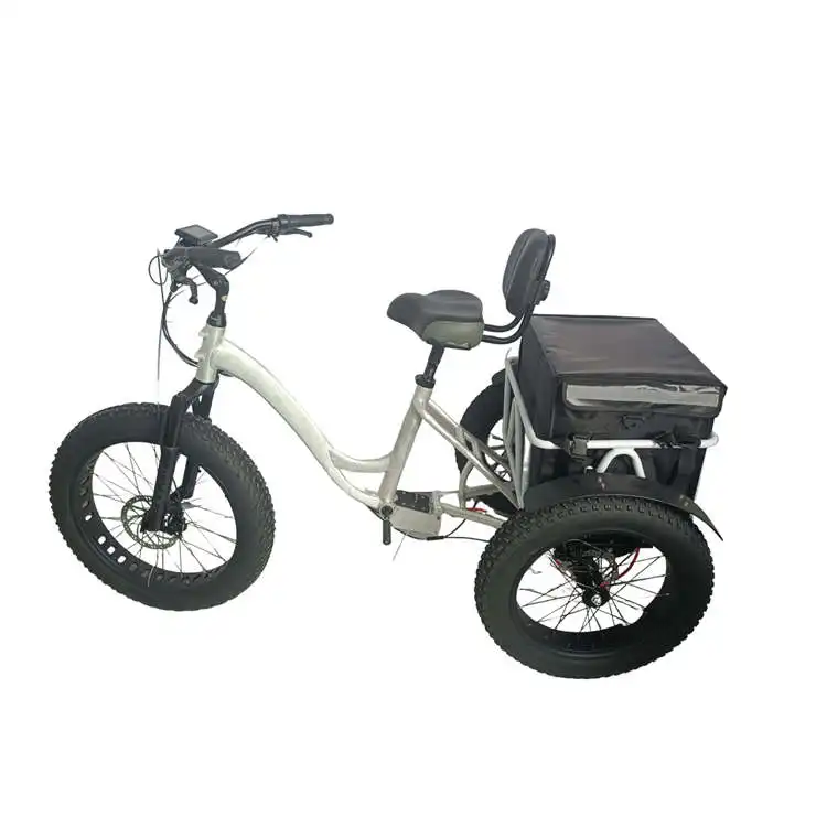 48V 1000W Mid Drive ebike kit de conversión 3 ruedas bicicleta eléctrica Triciclo de carga eléctrica