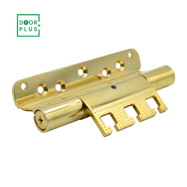 Doorplus Durable Small Stainless Steel Hardware High Quality Polish Gold Metal Door Hinges