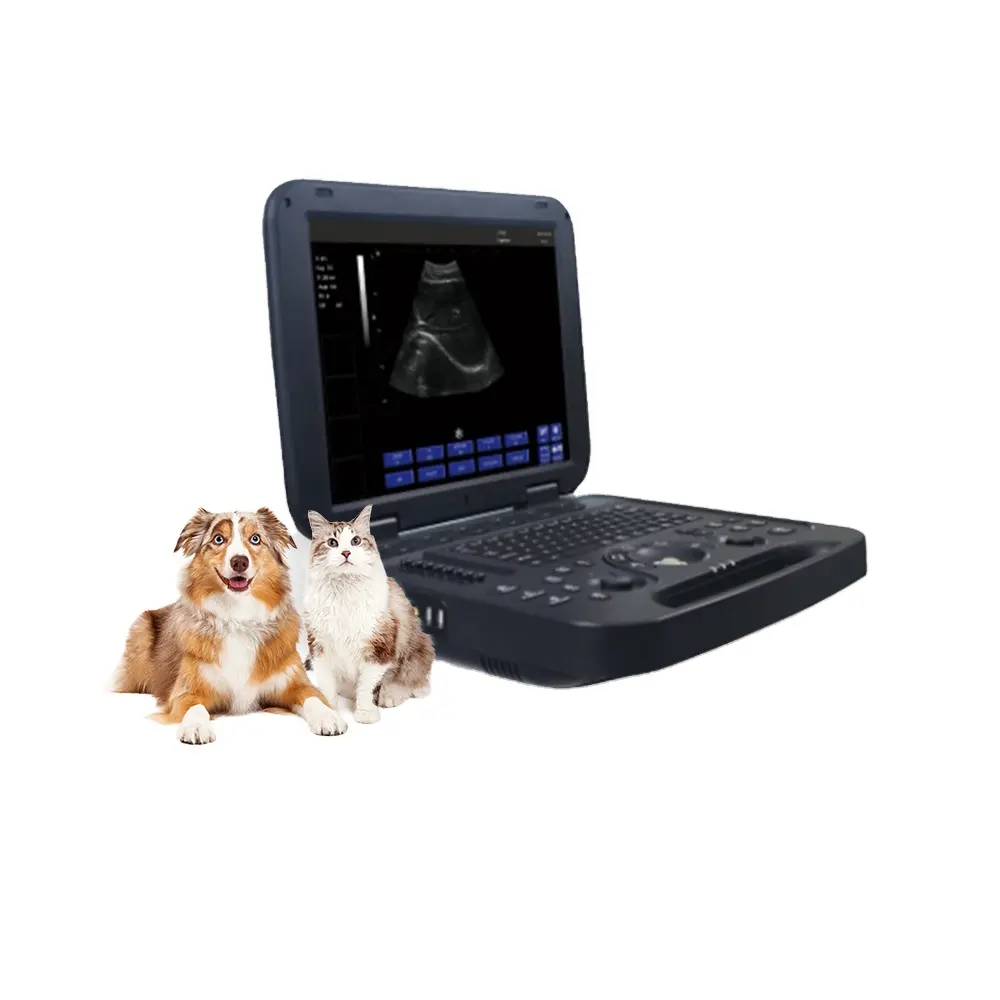 Elétrica Medical Ultrasound Instruments ecocardiografia ecografo portabilidade veterinária ultrasonido portátil ultra-som máquina