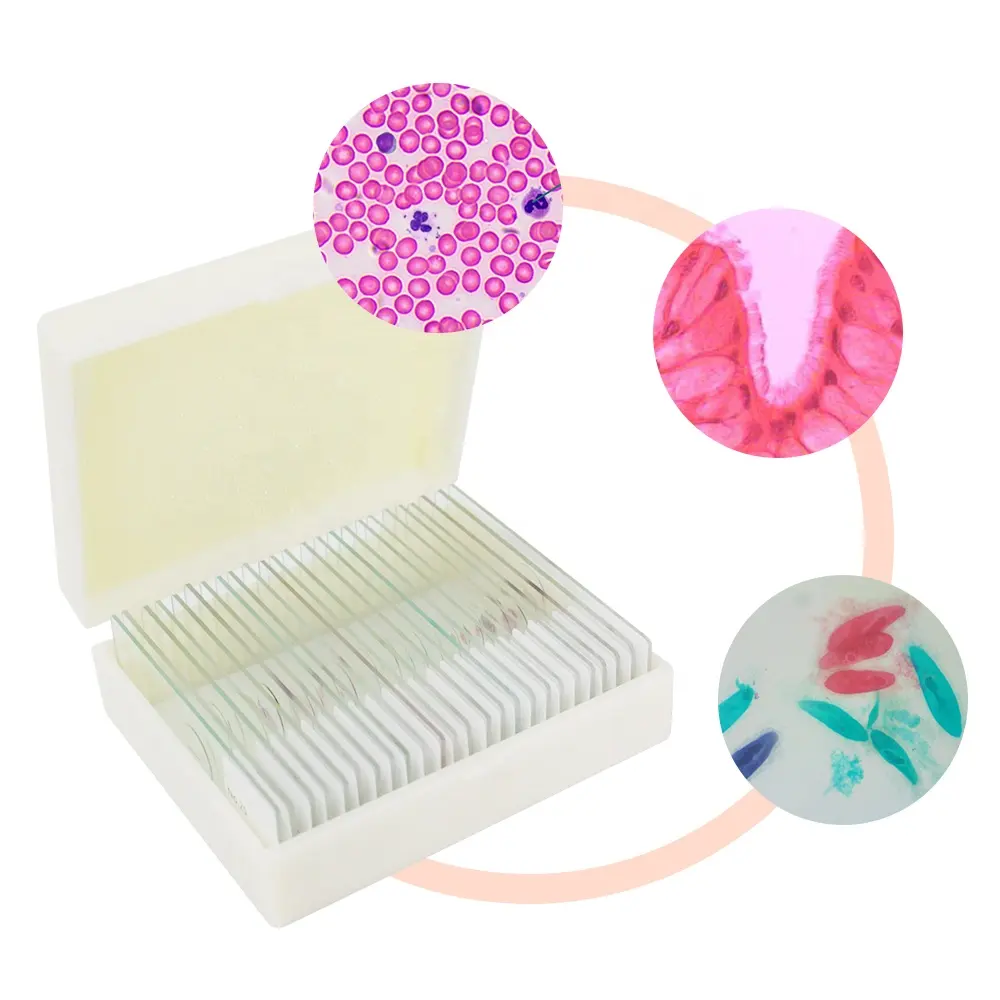 25 pièces lames de microscope de zoologie ensemble de lames préparées lames de microscope de zoologie histologie microbiologie