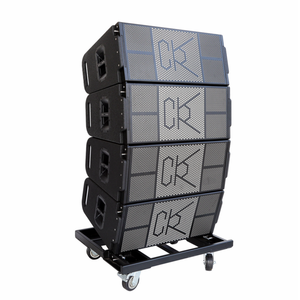 Profession elles Audio 12 Zoll Line Array System - Product Image 1
