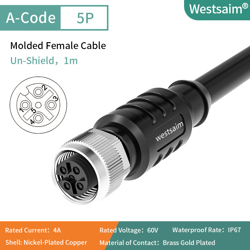Droite femelle M12-A-5