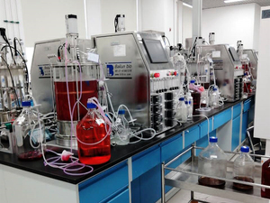 Bioréacteur de laboratoire pour cellules de mammifères 2 jeux 20L Bioréacteur à double verre Fermenteur de culture cellulaire BLBIO-GJ-2 - Product Image 4