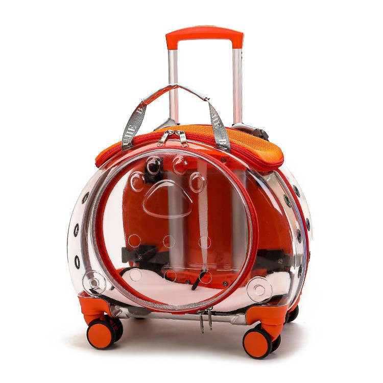 Orange transparent
