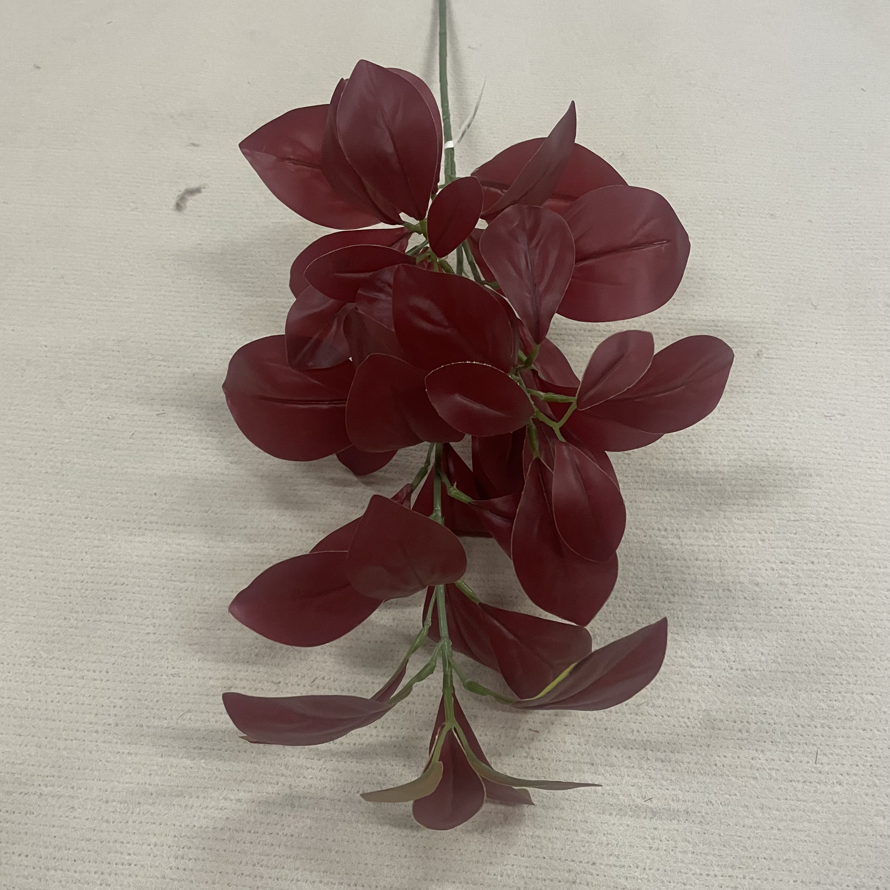 Rouge