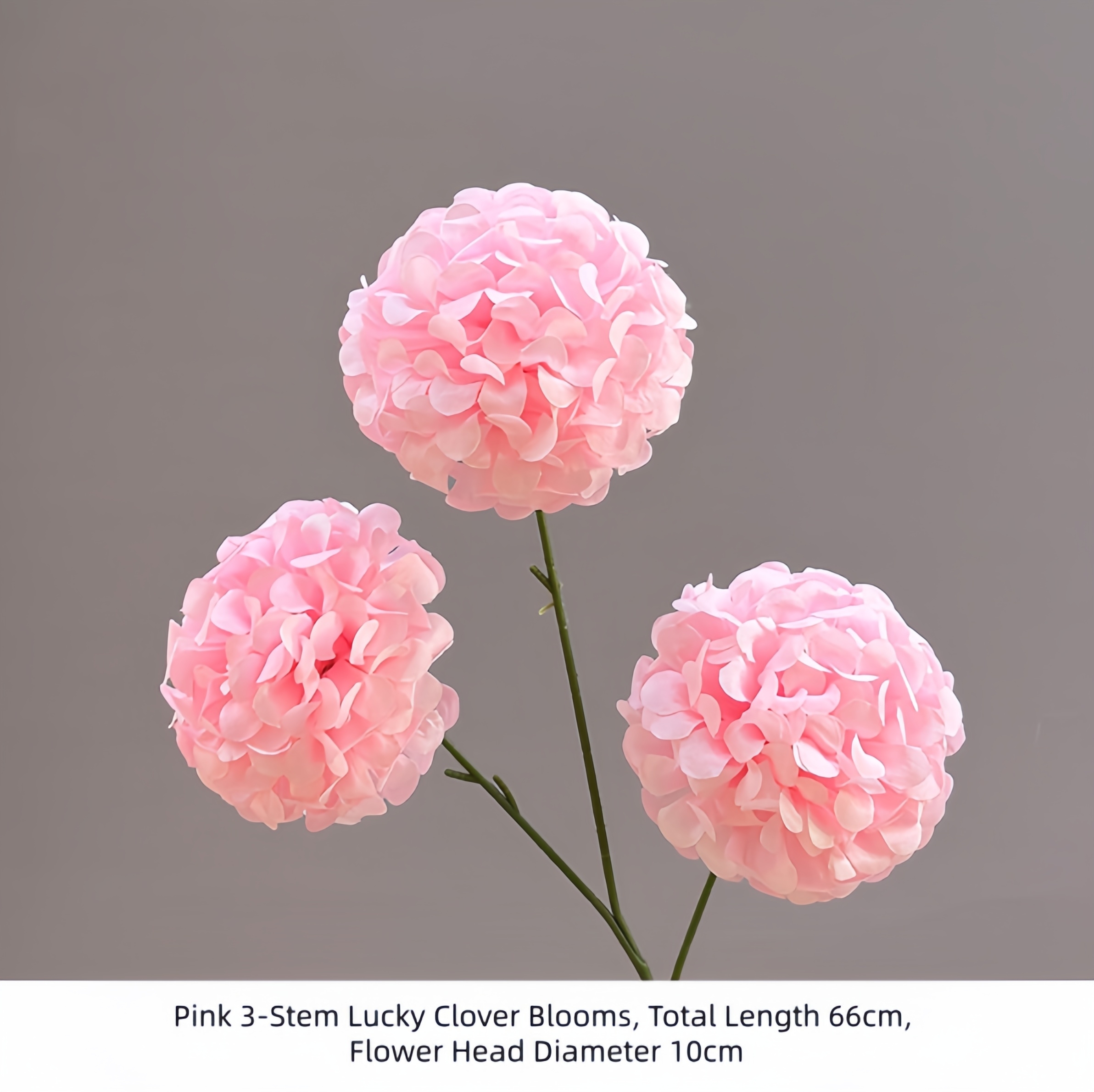 Lucky Clover Blooms