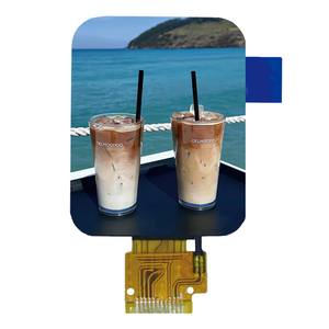 Rodada display lcd 1.69 polegadas 240x280 Praça TFT Color LCD Display polegadas TFT Touch Display IPS Módulo LCD para tela de relógio inteligente