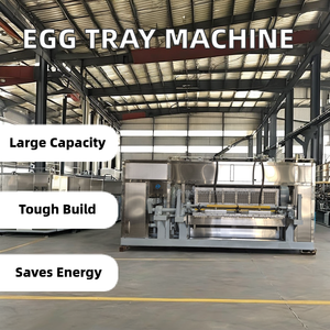 Fully <strong>Automatic</strong> <strong>Egg</strong> Tray Forming <strong>Machine</strong> Core Pump Included <strong>Egg</strong> Carton <strong>Making</strong> <strong>Machine</strong>