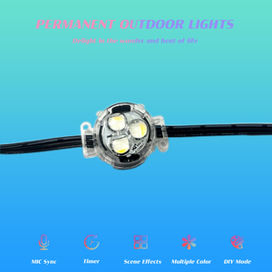 Luce impermeabile natale LED IP67 Pixel luce esterna punto permanente controllo intelligente - Product Image 4