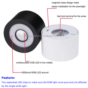 Benory BNL-DL12RGBW-CD 24 В RGB + CCT spotlight KNX Dali Loxone для домашней автоматизации интеллектуальные встраиваемые/поверхностные потолочные светильники - Product Image 5