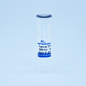 Tinzyme High Quality Thermostable <strong>T7</strong> RNA <strong>Polymerase</strong> Customized for Highly Specific Recognition - Product Image 2