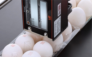 U2 Anser Online-Thermo tinten strahl drucker Chargen nummer Codierung für vertikale Formfüllsiegel-Verpackungs maschine VFFS-Verpackungs system - Product Image 3
