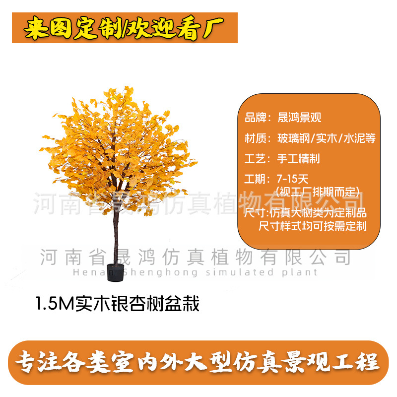 Bonsái de ginkgo de madera maciza de 1.5m (enlace para depósito)
